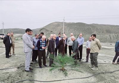 لاریجانی به بشاگرد رفت/ بازدید از نخلستان بزرگ مجول - تسنیم