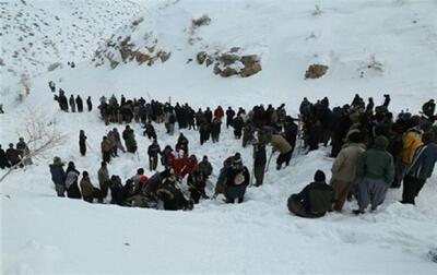 کولبری در برف و بوران تا قمار با مرگ برای زندگی؛ مرگ تلخ ۱۰ کولبر بر اثر سرما و یخبندان از ۱۴۰۰ تا ۱۴۰۳ | اقتصاد24