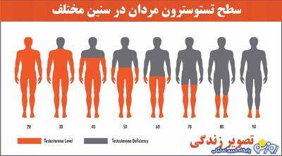 راه‌های افزایش تستوسترون چیست؟ | روزنو