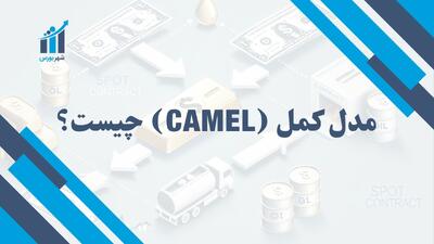 مدل کمل چیست؟ | آشنایی با مدل ارزیابی عملکرد بانک‌ها