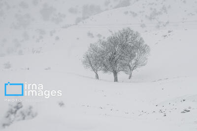 کاهش شدت سرما در همدان