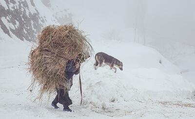 (تصاویر) طبیعت برفی روستاهای بخش انزل ارومیه