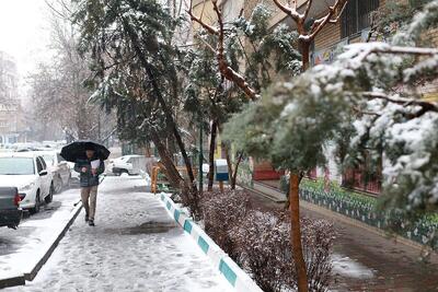 آماده سرمای شدید باشید؛ تهران یخ می‌زند