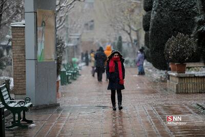 بارش برف و باران در ۱۵ استان/ پیش‌بینی کاهش دما