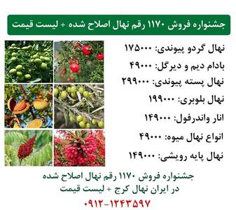 جشنواره عیدانه 1170 رقم نهال اصلاح شده بارکددار در ایران نهال کرج+  ارسال یک روزه به سراسر ایران