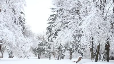 کشورهایی که هرگز برف به خود نمی‌بینند