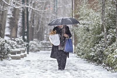 ۱۲ استان برای برف و باران آماده باشند