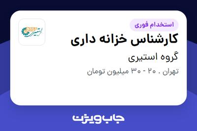 استخدام کارشناس خزانه داری در گروه استیری