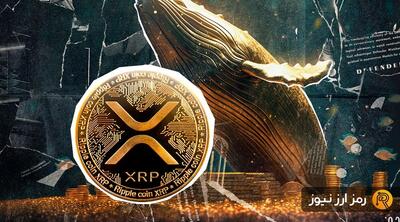 ۳ سیگنال صعودی قوی برای ریپل؛ XRP دوباره به سبد خرید نهنگ‌ها اضافه شد!