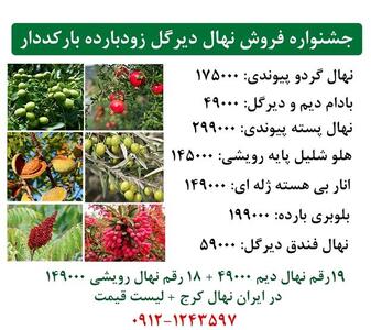 جشنواره عرضه مستقیم 1170 رقم نهال دیرگل زودبارده بارکددار در ایران نهال کرج + ارسال رایگان به سراسر ایران