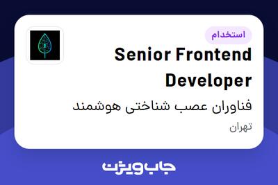 استخدام Senior Frontend Developer در فناوران عصب شناختی هوشمند