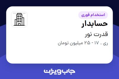 استخدام حسابدار - خانم در قدرت نور