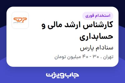 استخدام کارشناس ارشد مالی و حسابداری - آقا در سنادام پارس