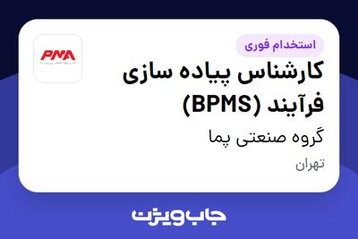 استخدام کارشناس پیاده سازی فرآیند (BPMS) در گروه صنعتی پما