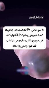 نقش باور نکردنی باکتری روده در متابولیسم + فیلم