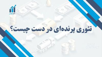 تئوری پرنده ای در دست چیست؟ | انتخاب‌های مطمئن