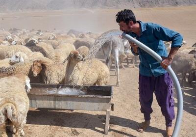 آبرسانی به ۷۳ محله عشایری خراسان جنوبی در دست اقدام است