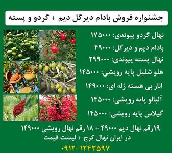 جشنواره عرضه بادام دیرگل دیم + گردو پیوندی و انواع میوه رویشی بارکددار + ارسال یکروزه به سراسر ایران