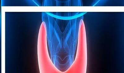 اگر تیروئید دارید جدی بگیرید