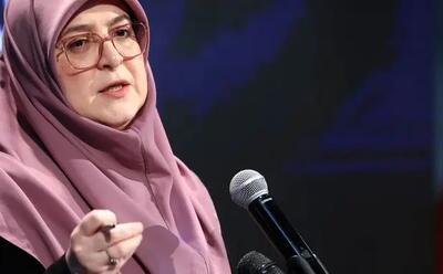 مهاجرانی : اگر قانون‌ انتصاب اجرا شود بسیاری از افراد سایر قوا هم باید کنار بروند