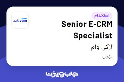 استخدام Senior E-CRM Specialist در ازکی وام