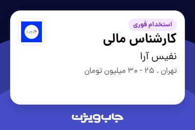 استخدام کارشناس مالی - آقا در نفیس آرا