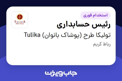 استخدام رئیس حسابداری در تولیکا طرح (پوشاک بانوان) Tulika