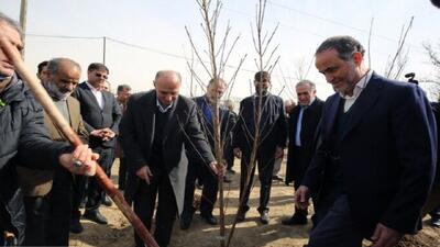 کاشت نهال به یاد امیرمحمد، دانشجوی فقید دانشگاه تهران