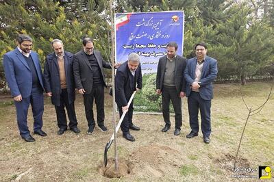 ۵ درصد کاهش مصرف برق معادل کاشت یک درخت به محیط زیست کمک می‌کند