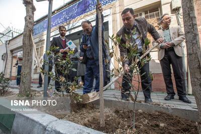 کاشت ۳ اصله نهال توسط جهاد دانشگاهی به یاد شهدای ایسنا