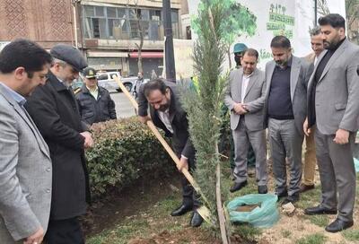 تأکید دادستان تهران بر برخورد قانونی سریع و بازدارنده با متجاوزان به منابع طبیعی