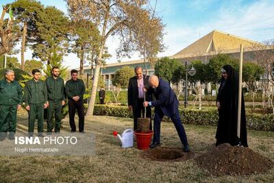 قالیباف یک اصله نهال مثمر را در شرق شهر تهران غرس کرد