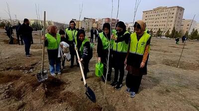 پویش سراسری درختکاری در مشهد