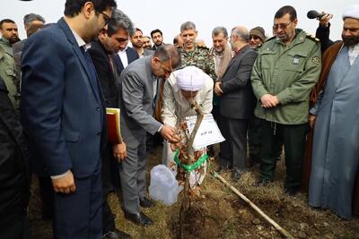 کاشت نهال به مناسبت هفته درختکاری در مازندران