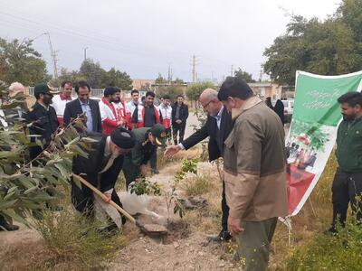 ۱۱۲ نهال به نام امدادگران شهید در دهلران غرس شد