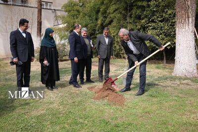 پزشکیان: مردم با مشارکت در کاشت درخت به بهبود محیط زیست کشور کمک کنند