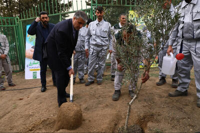 برگزاری روز درختکاری در سازمان انرژی اتمی ایران