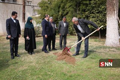 پزشکیان: مردم با مشارکت در کاشت درخت به بهبود محیط زیست کشور کمک کنند