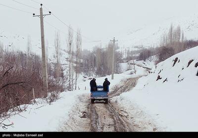 هواشناسی ایران 1403/12/15؛ بارش گسترده برف و باران در کشور - تسنیم