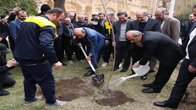 جبلی: رسانه ملی، پیشتاز پویش کاشت یک میلیارد درخت است