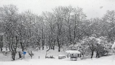 برف و باران در ۱۸ استان