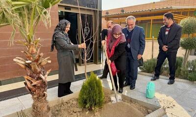 پیام سخنگوی دولت به مناسبت روز درختکاری - آینه فردا