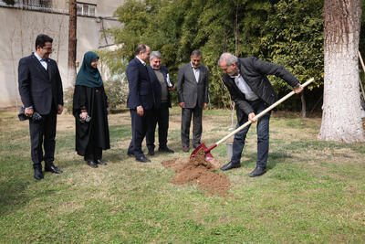 مردم با مشارکت در کاشت درخت به بهبود محیط‌زیست کشور کمک کنند