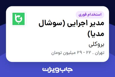 استخدام مدیر اجرایی (سوشال مدیا) در بروکلی