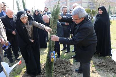 پویش درختکاری « سلامت سبز» در مازندران برگزار شد