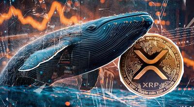 ریپل آماده انفجار قیمتی؛ نهنگ‌ها ۳.۳ میلیارد دلار XRP انباشت کردند!