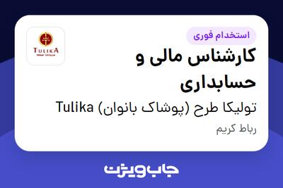 استخدام کارشناس مالی و حسابداری در تولیکا طرح (پوشاک بانوان) Tulika