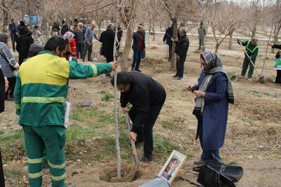 کاشت بیش از ۲۰۰ نهال به یاد اهداکنندگان زندگی در بوستان محله شریعتی شمالی منطقه ۱۹