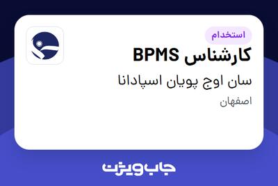 استخدام کارشناس BPMS در سان اوج پویان اسپادانا