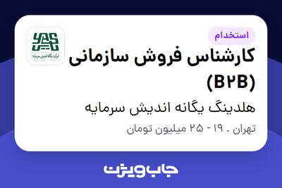 استخدام کارشناس فروش سازمانی (B2B) - خانم در هلدینگ یگانه اندیش سرمایه